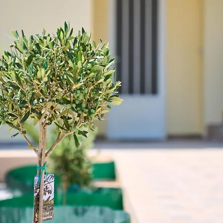 Filerimos Gardens = The Perfect Retreat Daire *